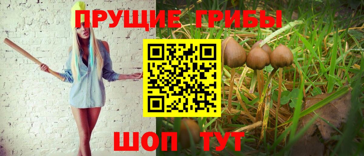 Галлюциногенные грибы Magic Shrooms Еманжелинск
