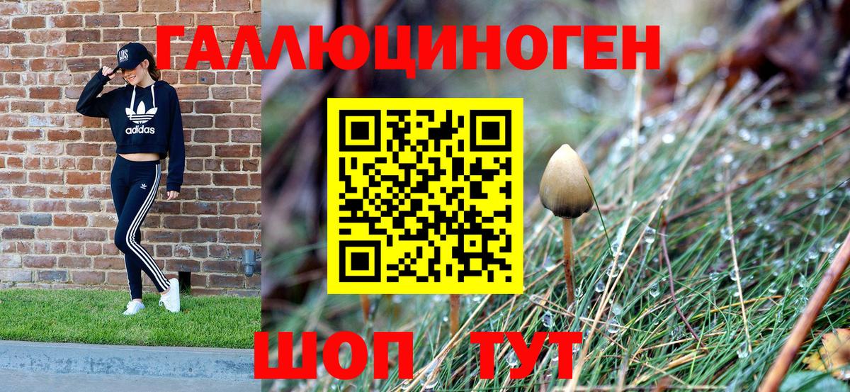Еманжелинск  Галлюциногенные грибы Psilocybine cubensis  Вход с VPN 